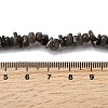 Natural Freshwater Shell Beads SHEL-B003-01J-4