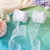 Polyester Deco Mesh Ribbons OCOR-TAC0024-004E-6