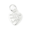 Alloy Charms FIND-H012-04S-1