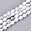 Natural Howlite Beads Strands G-T142-79-4