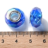 Shell Transparent Copper Buckle Acrylic European Beads OACR-M024-08P-06-3