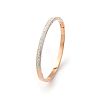 Fashionable Stainless Steel Pave Rhinestone Hinged Bangles for Women LR5423-16-1