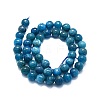 Natural Apatite Beads Strands G-K245-A03-04-2