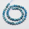 Natural Apatite Beads Strands G-I254-08C-3