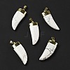 Natural Mixed Stone Pendants G-P474-04S-2