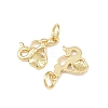 Brass Pendants KK-Z132-03G-03-2