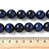 Natural Tiger Eye Bead Strands G-P230-08-B-14mm-2