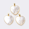 Shell Pendants X-G-E494-B02-G-1