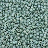 MIYUKI Delica Beads SEED-X0054-DB2313-3