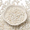 Baking Paint Glass Seed Beads X1-SEED-F006-01A-15-2