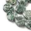 Natural Green Spot Jasper Beads Strands G-A309-A20-01-3