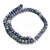 Natural Blue Spot Jasper Beads Strands G-Z111-A32-5
