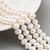 Natural Cultured Freshwater Pearl Beads Strands PEAR-C003-16C-2