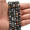 Natural Eagle Eye Stone Beads Strands G-Z111-A11-02-2