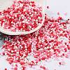 Baking Paint Glass Seed Beads X-SEED-S042-05B-46-1