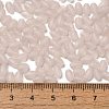 Transparent Colours Glass Seed Beads X-SEED-F006-03A-06-4
