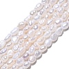 Natural Cultured Freshwater Pearl Beads Strands PEAR-N014-03E-01-1