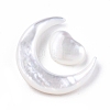 Natural White Shell Beads Sets SSHEL-N032-52B-02-4