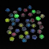 Luminous Resin Decoden Cabochons RESI-K036-09A-3