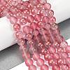 Frosted Transparent Glass Bead Strands GLAA-P065-10mm-09-1