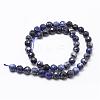 Natural Sodalite Beads Strands G-D840-19-10mm-2