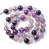 Natural Fluorite Beads Strands G-E598-02B-2