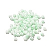 6/0 Opaque Glass Seed Beads SEED-P005-A05-1