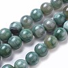 Natural Agate Beads Strands TDZI-I003-06D-01-1