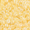 Glass Seed Beads SEED-A011-2mm-142-3