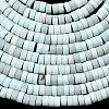 Dyed Synthetic Turquoise Beads Strands G-Z089-A04-C-5