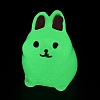 Rabbit Luminous Resin Display Decorations DJEW-F023-B05-2