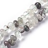 Natural Green Lodolite Quartz Beads Strands G-L493-14-1