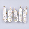 Natural Quartz Crystal Big Pendants G-S344-55-1