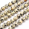 Natural Dalmation Jasper Beads Strands G-G542-6mm-07-1