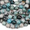 Natural Chrysocolla Beads Strands G-K405-B01-12mm-5