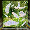 Peacock Rainbow Prism Electrostatic Window Stickers PW-WG83D84-01-2