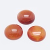 Natural Carnelian Cabochons G-G760-B01-03-1