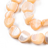 Natural Trochid Shell/Trochus Shell Beads Strands SSHEL-N032-49-A07-3