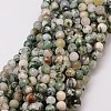 Natural Tree Agate Bead Strands G-G882-6mm-E02-1