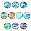 Glass Marbleize Cabochons GGLA-YW0002-01-1