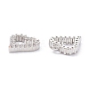 Rack Plating Brass Micro Pave Cubic Zirconia Charms X-ZIRC-C026-08P-2