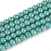 Electroplate Opaque Glass Beads Strands GLAA-T032-P4mm-AB12A-1