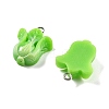 Opaque Resin Pendants RESI-S013-02D-3