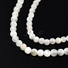 Natural White Shell Bead Strands SSHEL-N003-144A-01-3
