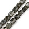 Natural Labradorite Beads Strands G-N342-146-1