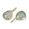 Natural Amazonite Faceted Teardrop Pendants G-B126-04G-04-2