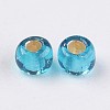 FGB 12/0 Grade A Transparent Silver Lined Round Glass Seed Beads X-SEED-A022-F13-51-2