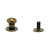 Zinc Alloy Rivets Set PW-WGCEAE9-16-1