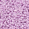 Glass Seed Beads SEED-K009-02A-06-3