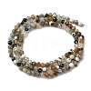 Natural Tree Agate Beads Strands G-RM2025-A40-3mm-3